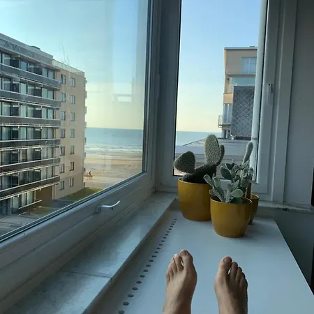 Spacious Family Flat Near The Apartment *