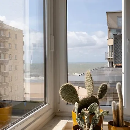 Spacious Family Flat Near The Koksijde